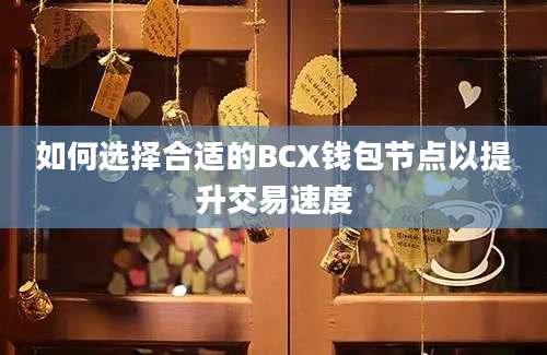 如何选择合适的BCX钱包节点以提升交易速度