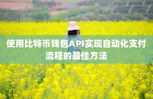 使用比特币钱包API实现自动化支付流程的最佳方法