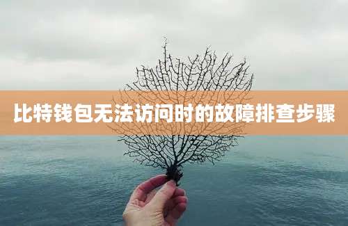 比特钱包无法访问时的故障排查步骤