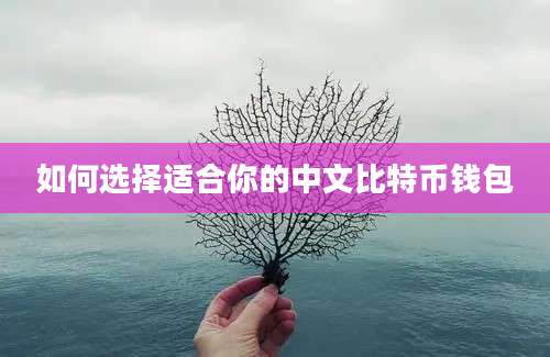 如何选择适合你的中文比特币钱包