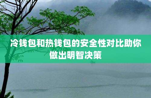 冷钱包和热钱包的安全性对比助你做出明智决策