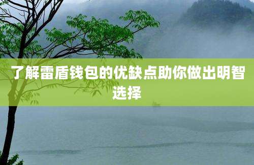 了解雷盾钱包的优缺点助你做出明智选择