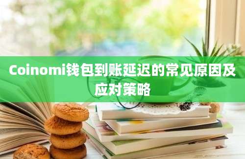 Coinomi钱包到账延迟的常见原因及应对策略