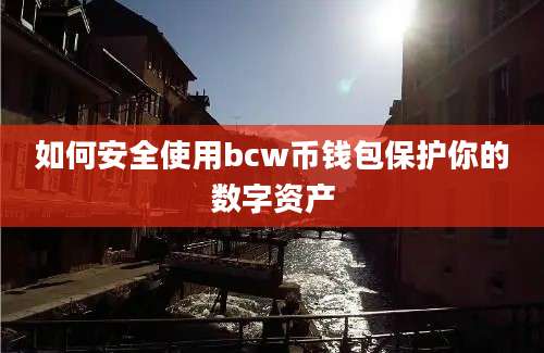 如何安全使用bcw币钱包保护你的数字资产