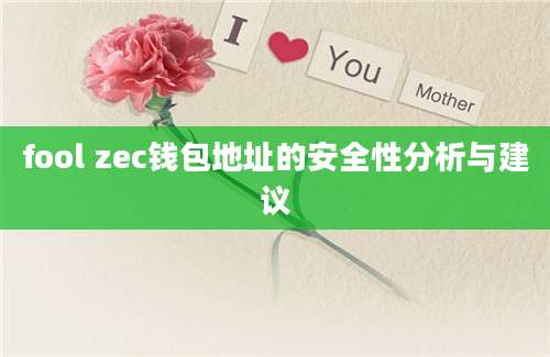 fool zec钱包地址的安全性分析与建议