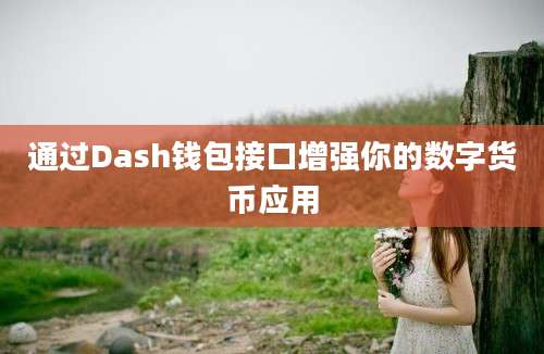 通过Dash钱包接口增强你的数字货币应用