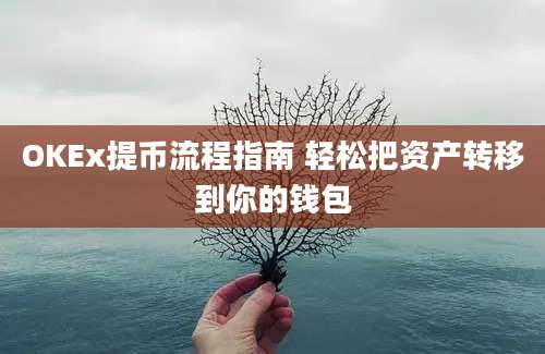 OKEx提币流程指南 轻松把资产转移到你的钱包