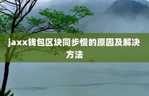 jaxx钱包区块同步慢的原因及解决方法