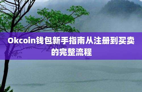 Okcoin钱包新手指南从注册到买卖的完整流程