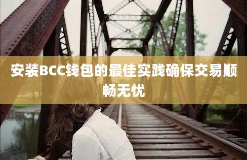 安装BCC钱包的最佳实践确保交易顺畅无忧