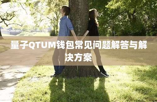 量子QTUM钱包常见问题解答与解决方案