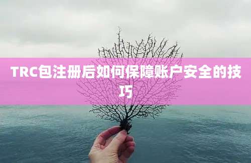 TRC包注册后如何保障账户安全的技巧