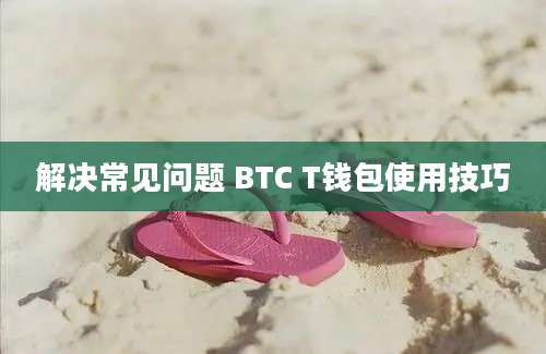 解决常见问题 BTC T钱包使用技巧