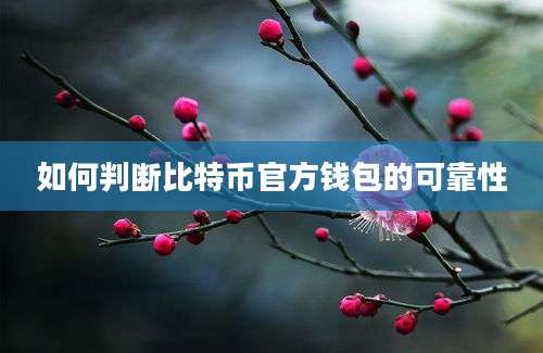 如何判断比特币官方钱包的可靠性