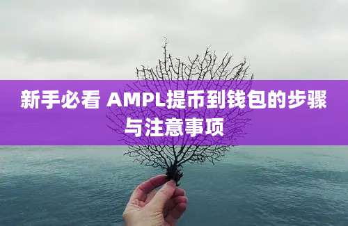 新手必看 AMPL提币到钱包的步骤与注意事项