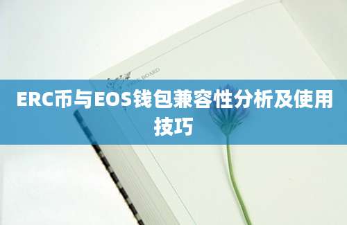 ERC币与EOS钱包兼容性分析及使用技巧