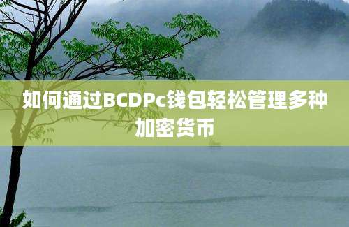 如何通过BCDPc钱包轻松管理多种加密货币