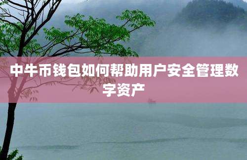 中牛币钱包如何帮助用户安全管理数字资产