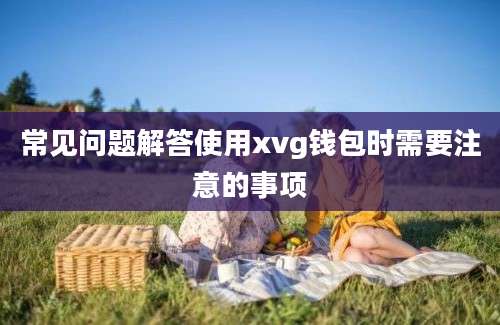 常见问题解答使用xvg钱包时需要注意的事项