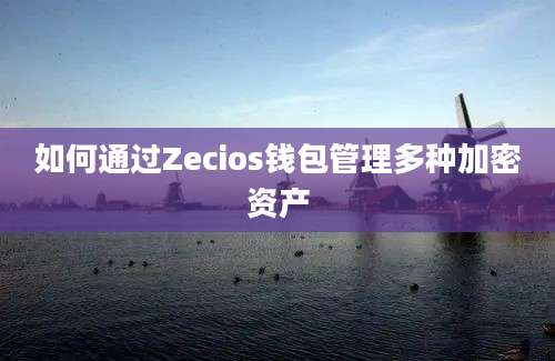 如何通过Zecios钱包管理多种加密资产