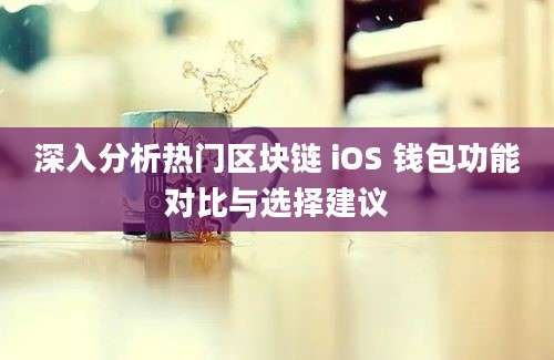 深入分析热门区块链 iOS 钱包功能对比与选择建议