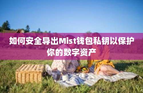 如何安全导出Mist钱包私钥以保护你的数字资产