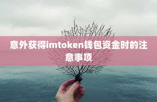 意外获得imtoken钱包资金时的注意事项