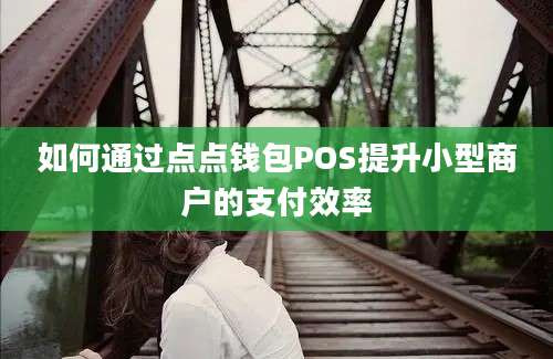 如何通过点点钱包POS提升小型商户的支付效率