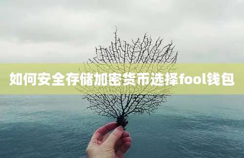 如何安全存储加密货币选择fool钱包