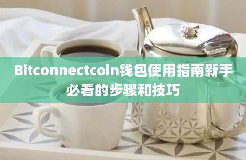 Bitconnectcoin钱包使用指南新手必看的步骤和技巧