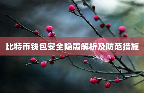 比特币钱包安全隐患解析及防范措施