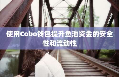 使用Cobo钱包提升鱼池资金的安全性和流动性