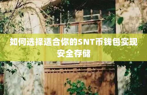 如何选择适合你的SNT币钱包实现安全存储