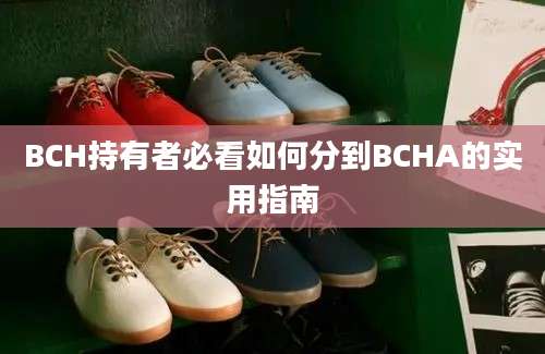 BCH持有者必看如何分到BCHA的实用指南