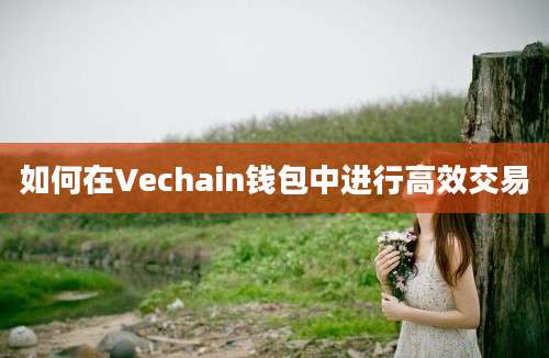 如何在Vechain钱包中进行高效交易