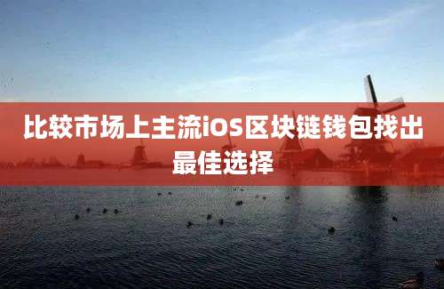 比较市场上主流iOS区块链钱包找出最佳选择