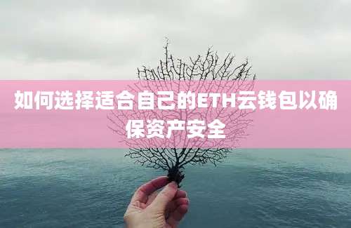 如何选择适合自己的ETH云钱包以确保资产安全