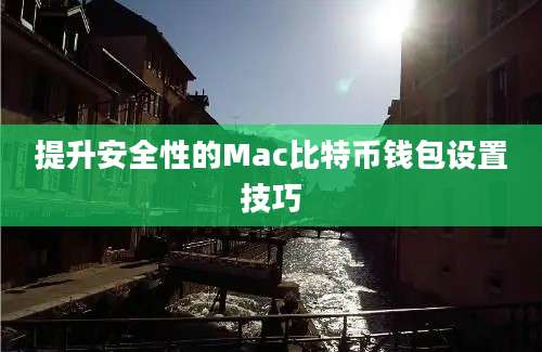 提升安全性的Mac比特币钱包设置技巧