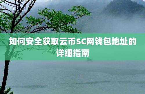 如何安全获取云币SC网钱包地址的详细指南