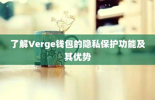 了解Verge钱包的隐私保护功能及其优势