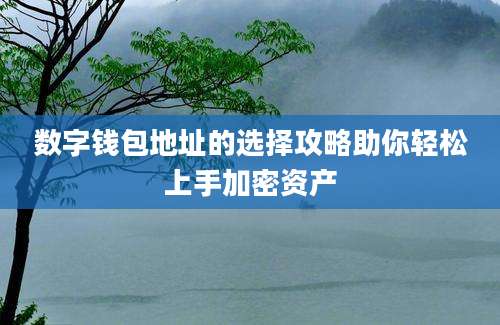 数字钱包地址的选择攻略助你轻松上手加密资产