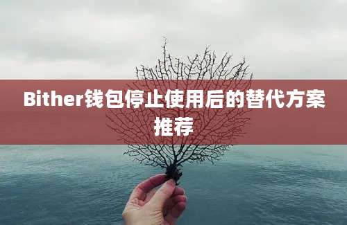 Bither钱包停止使用后的替代方案推荐