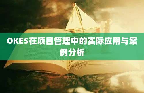 OKES在项目管理中的实际应用与案例分析