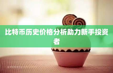 比特币历史价格分析助力新手投资者