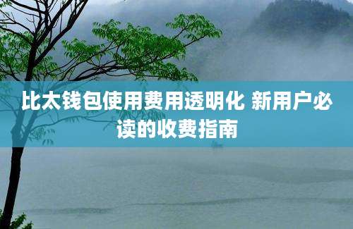 比太钱包使用费用透明化 新用户必读的收费指南