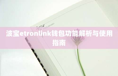 波宝etronlink钱包功能解析与使用指南