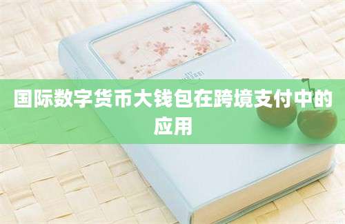 国际数字货币大钱包在跨境支付中的应用