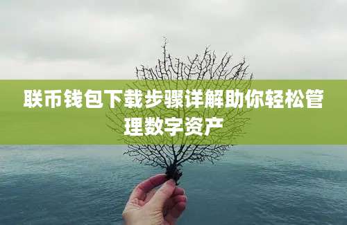 联币钱包下载步骤详解助你轻松管理数字资产