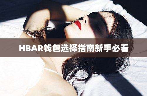 HBAR钱包选择指南新手必看