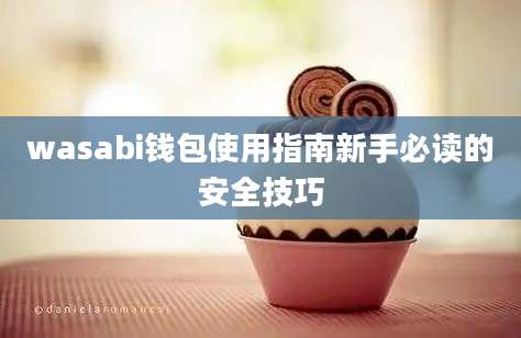 wasabi钱包使用指南新手必读的安全技巧